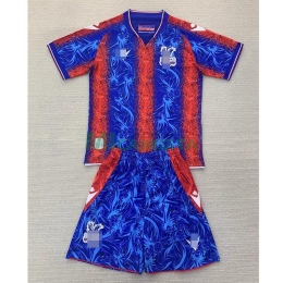 Camiseta Crystal Palace FC Primera Equipación 2024/2025 Niño Kit