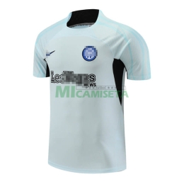 Camiseta de Entrenamiento Inter De Mlian 2023/2024 Gris Claro