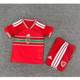 Camiseta Gales Primera Equipación Mundial 2026 Rojo Niño Kit